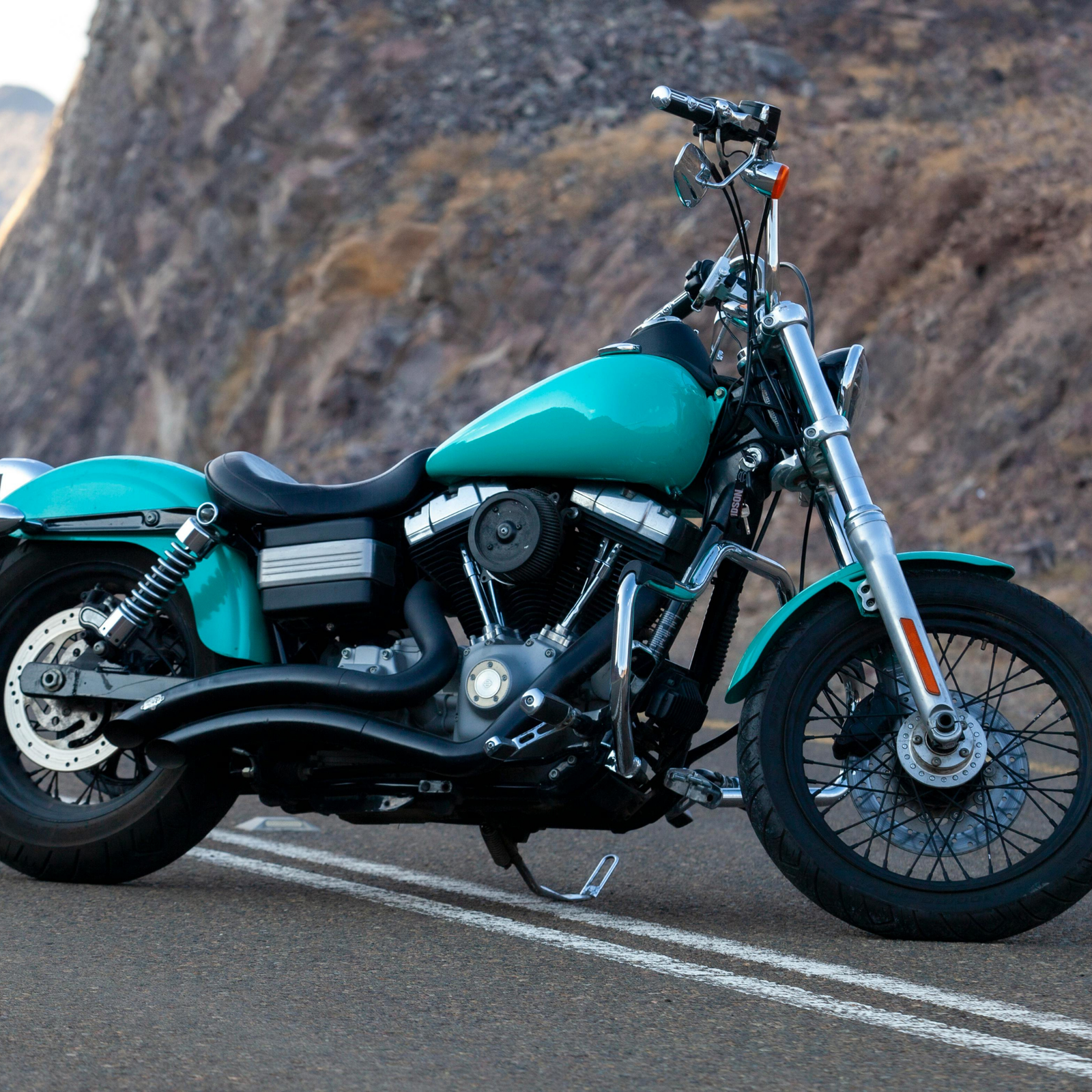 Rider with motorcycle on scenic road